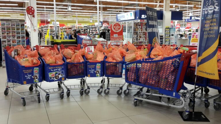 Dons alimentaires Carrefour Salamandrier Lions Club